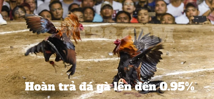 Khuyến mãi VT88: hướng dẫn chi tiết và lưu ý quan trọng 3 khuyen mai vt88